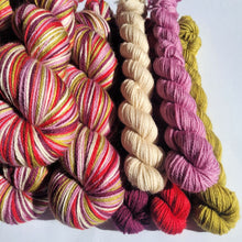 Load image into Gallery viewer, 'Berry Retro' Self Striping Sock Set